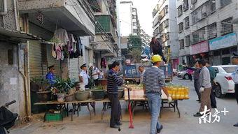 江南新村爆料视频最新,揭秘社区生活新动态  第1张